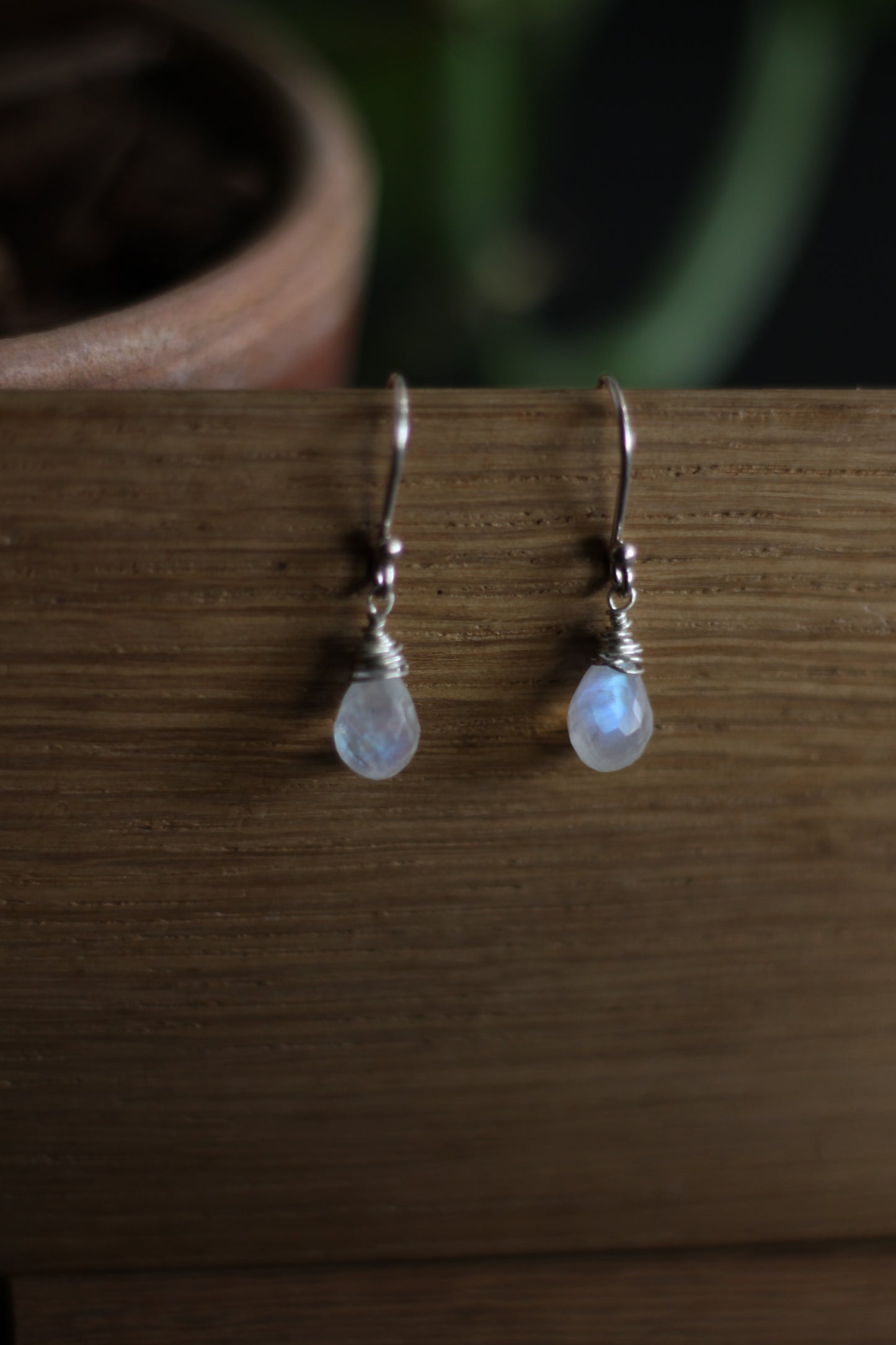 Amana Earrings in Rainbow Moonstone and Sterling Silver
