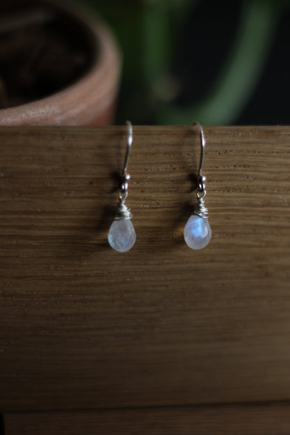 Amana Earrings in Rainbow Moonstone and Sterling Silver