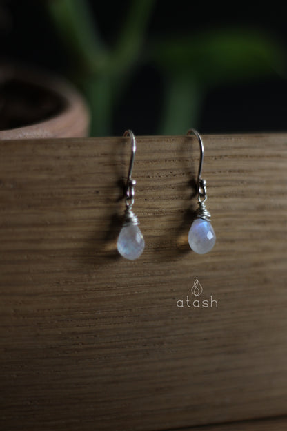 Amana Earrings in Rainbow Moonstone and Sterling Silver